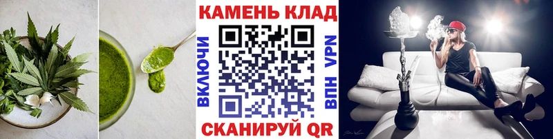 где купить наркотик  блэк спрут   Cannafood конопля  Муром 