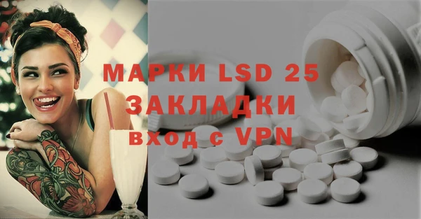 ГАЛЛЮЦИНОГЕННЫЕ ГРИБЫ Алексин