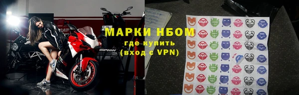 стаф Алзамай