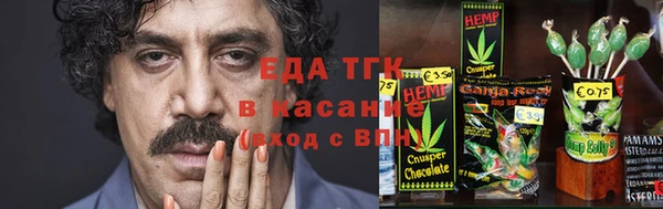 стаф Алзамай