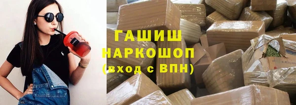 стаф Алзамай