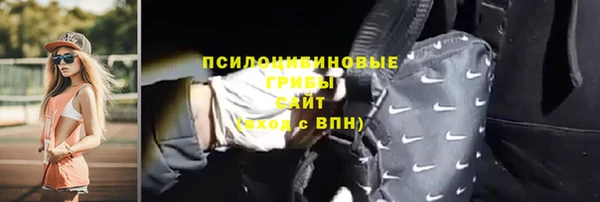 стаф Алзамай