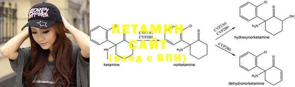 стаф Алзамай