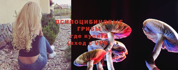 ГАЛЛЮЦИНОГЕННЫЕ ГРИБЫ Алексин