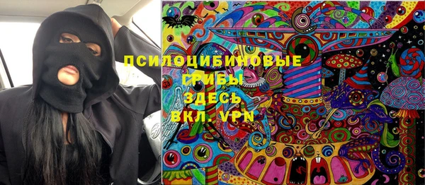 стаф Алзамай