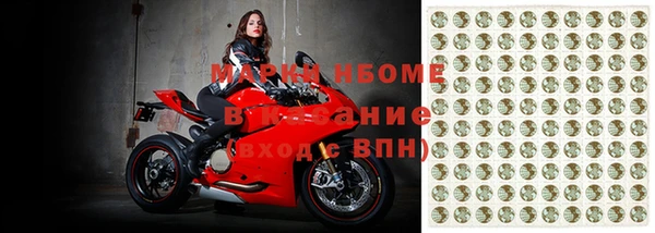 стаф Алзамай