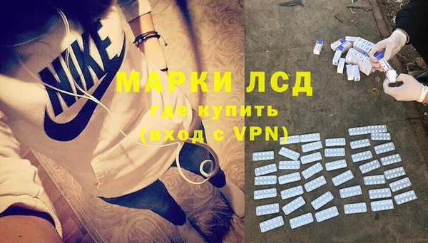 стаф Алзамай